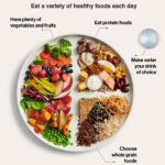 Canada's Food Guide plate with fruits and vegetables, fish, beans, meat and poultry, pasta, bread, rice and grains