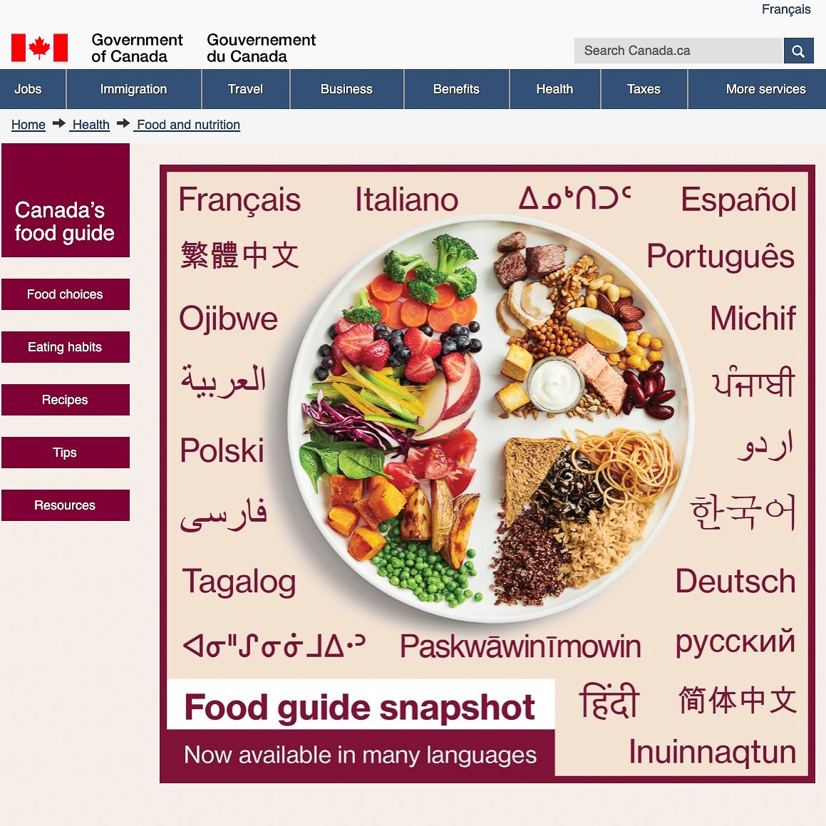 Canada's Food Guide plate with fruits and vegetables, fish, beans, meat and poultry, pasta, bread, rice and grains written in different languages