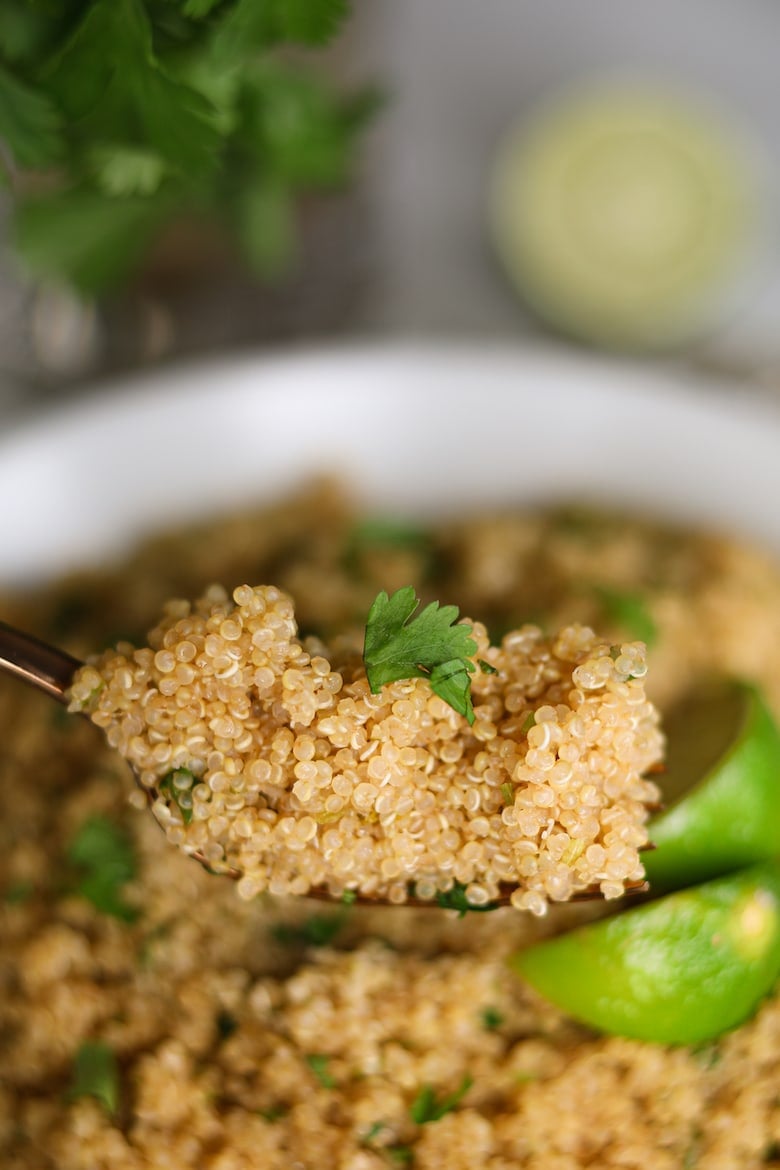 a heaped fork of cooked quinoa with a background of a blurry bowl of quinoa garnished with cilantro leaves and lime wedges
