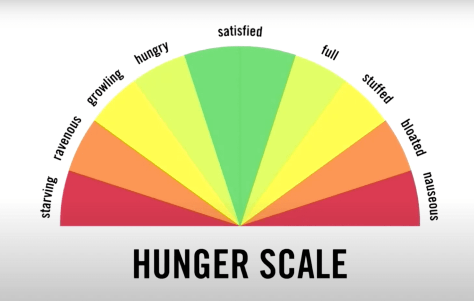 hunger scale, semi circle with red, amber, green to educate about emotional eating