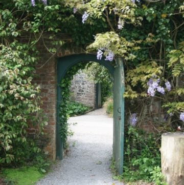 an open green door leading to a garden