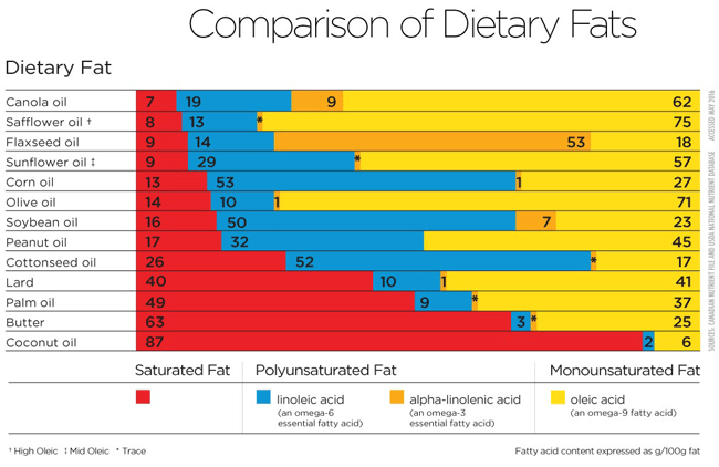 chart comparing different types of fats according to their fatty acid profile