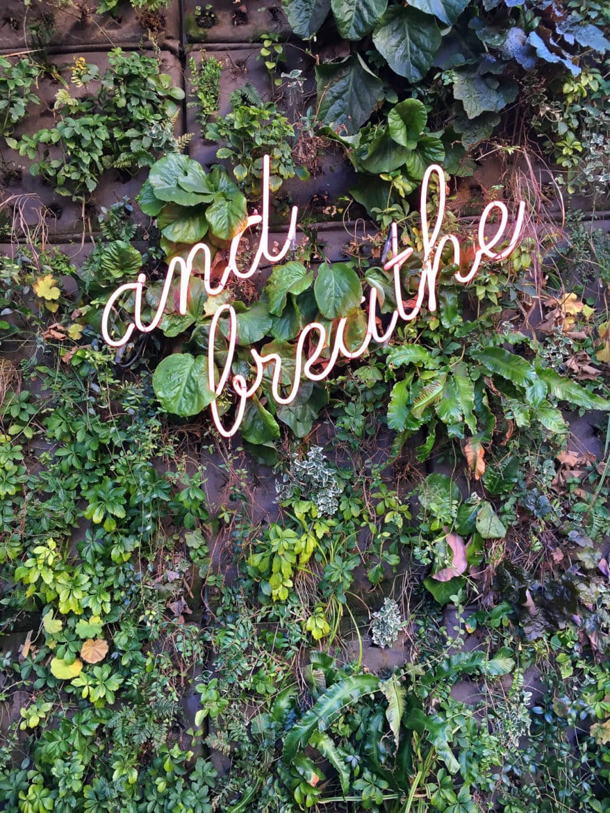 wall decorated with variety of plants and leaves with "and breathe" lit up