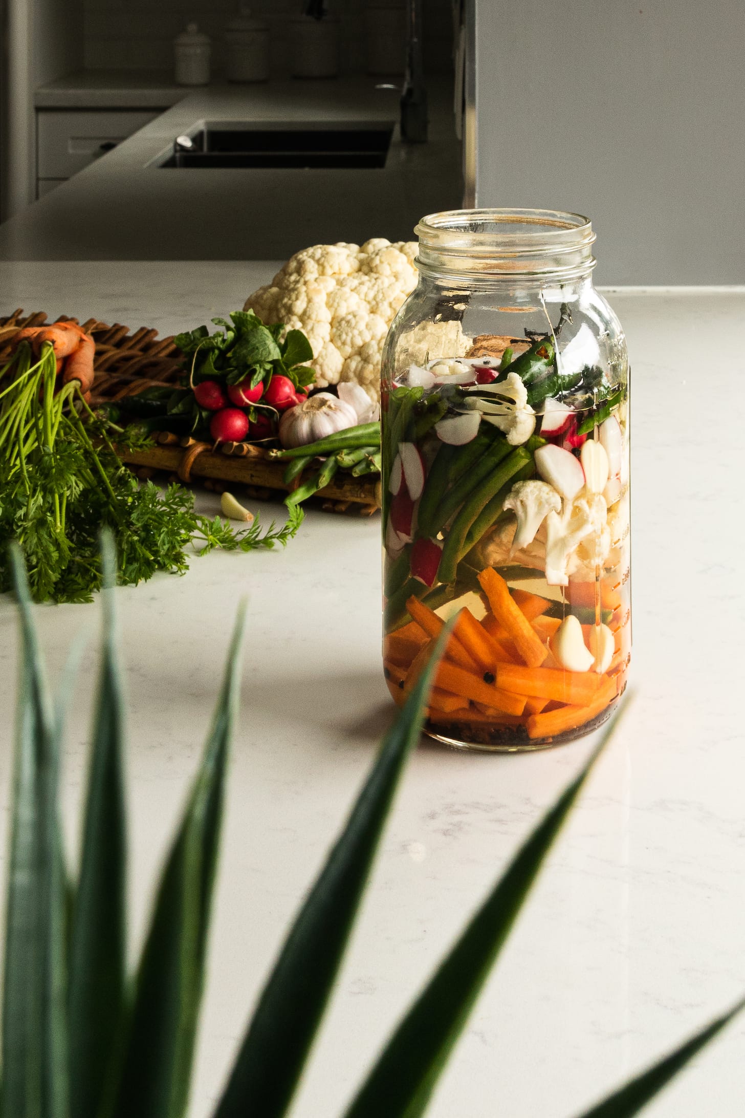 a jar of mixed vegetables in water with a plant in the foreground and vegetables in the background.