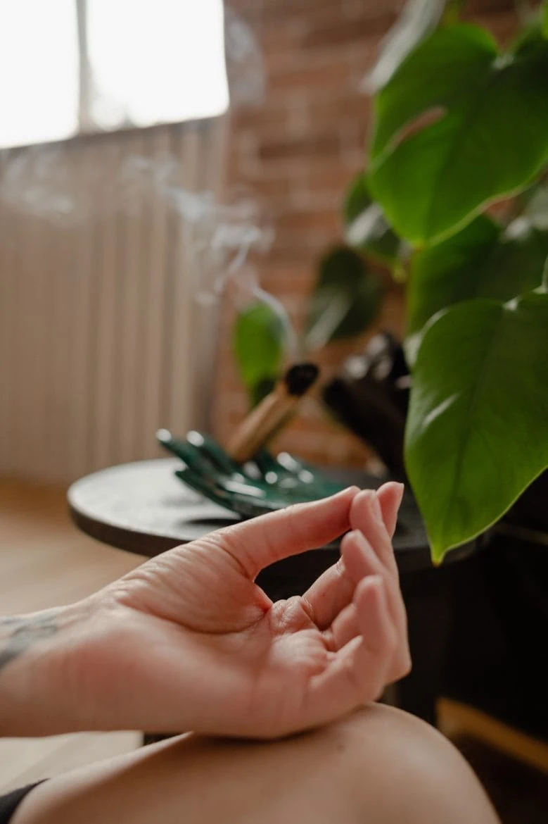 a hand doing a meditation pose with a plant and smoke in the background.