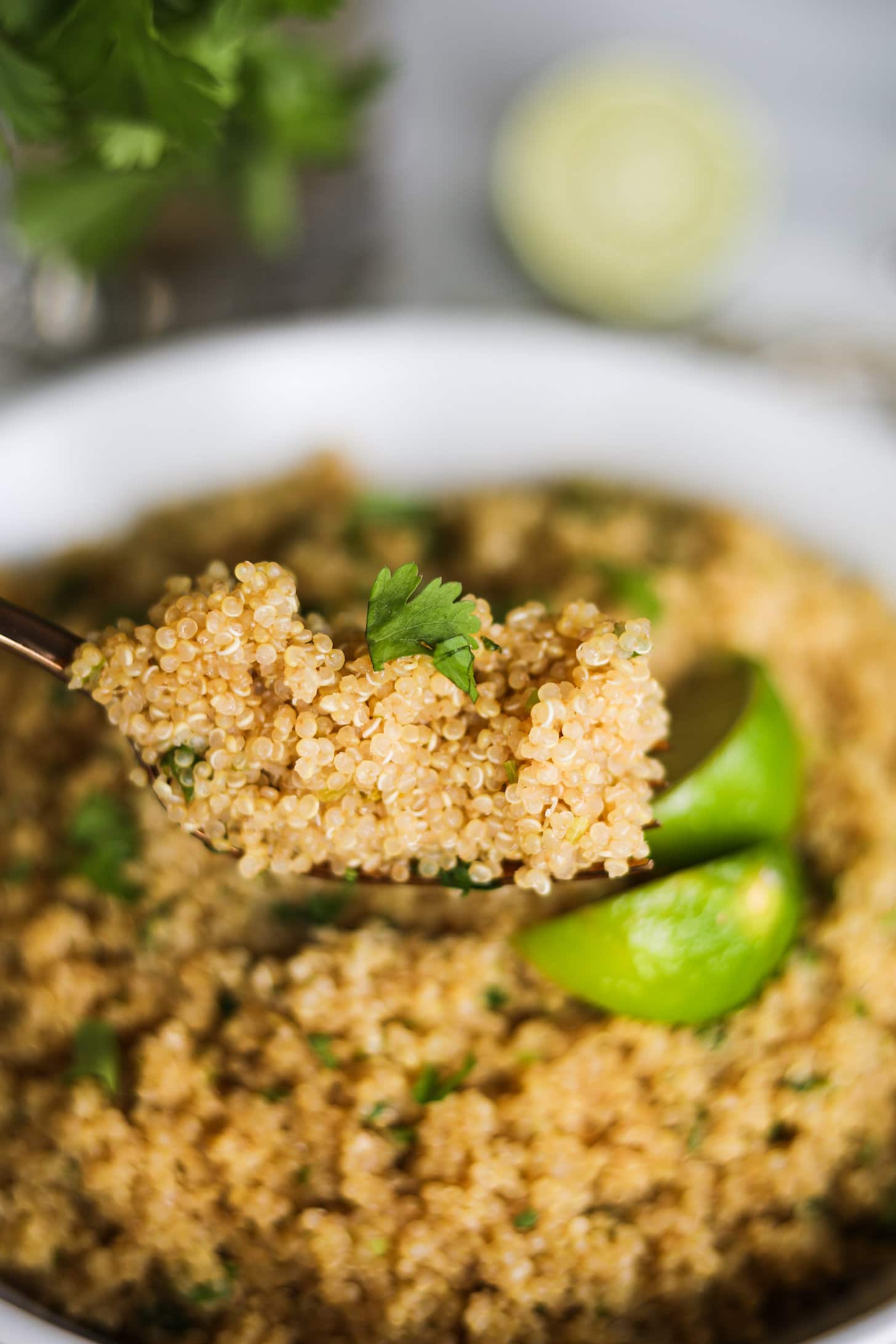 a close up shot of a fork of cooked quinoa with a bowl of cooked quinoa in the background.