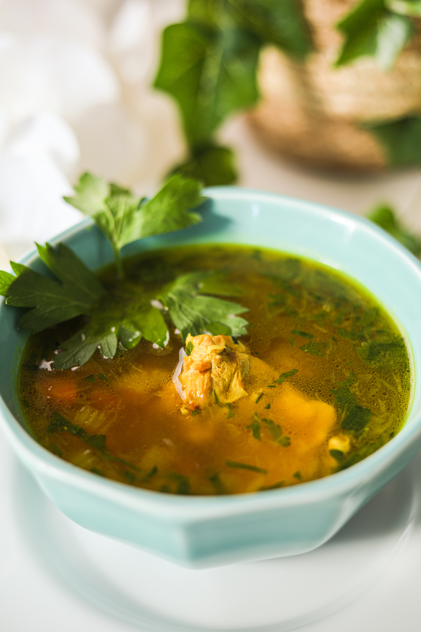 Perspective shot of a bowl of brown soup topped with parsley leaf with a plant in the background.