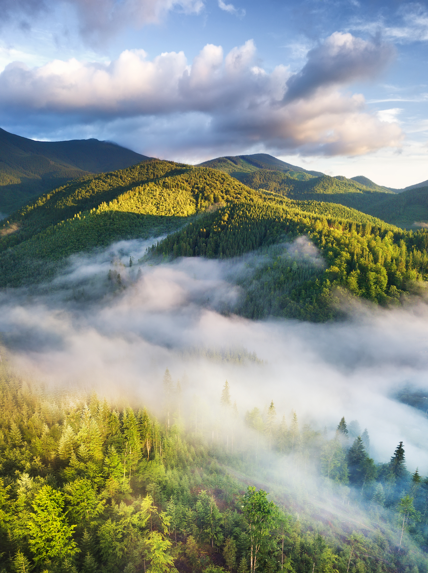 Aerial view at the forest in fog. Beautiful natural aerial landcape at the summer time. Forest and mountains.Top view from drone. Mountain-image.