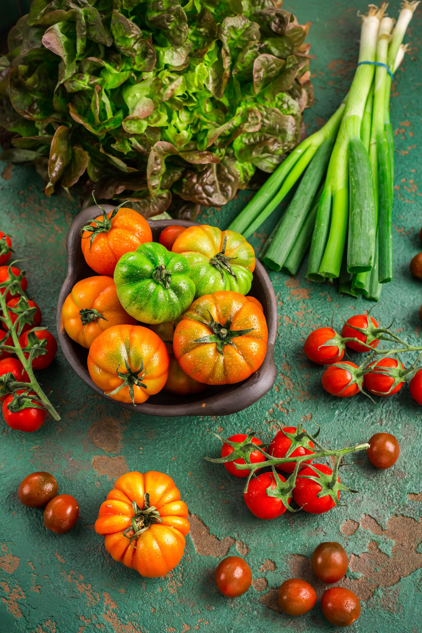 Assortment of tomatoes, lettuce and sprin onions on green background.