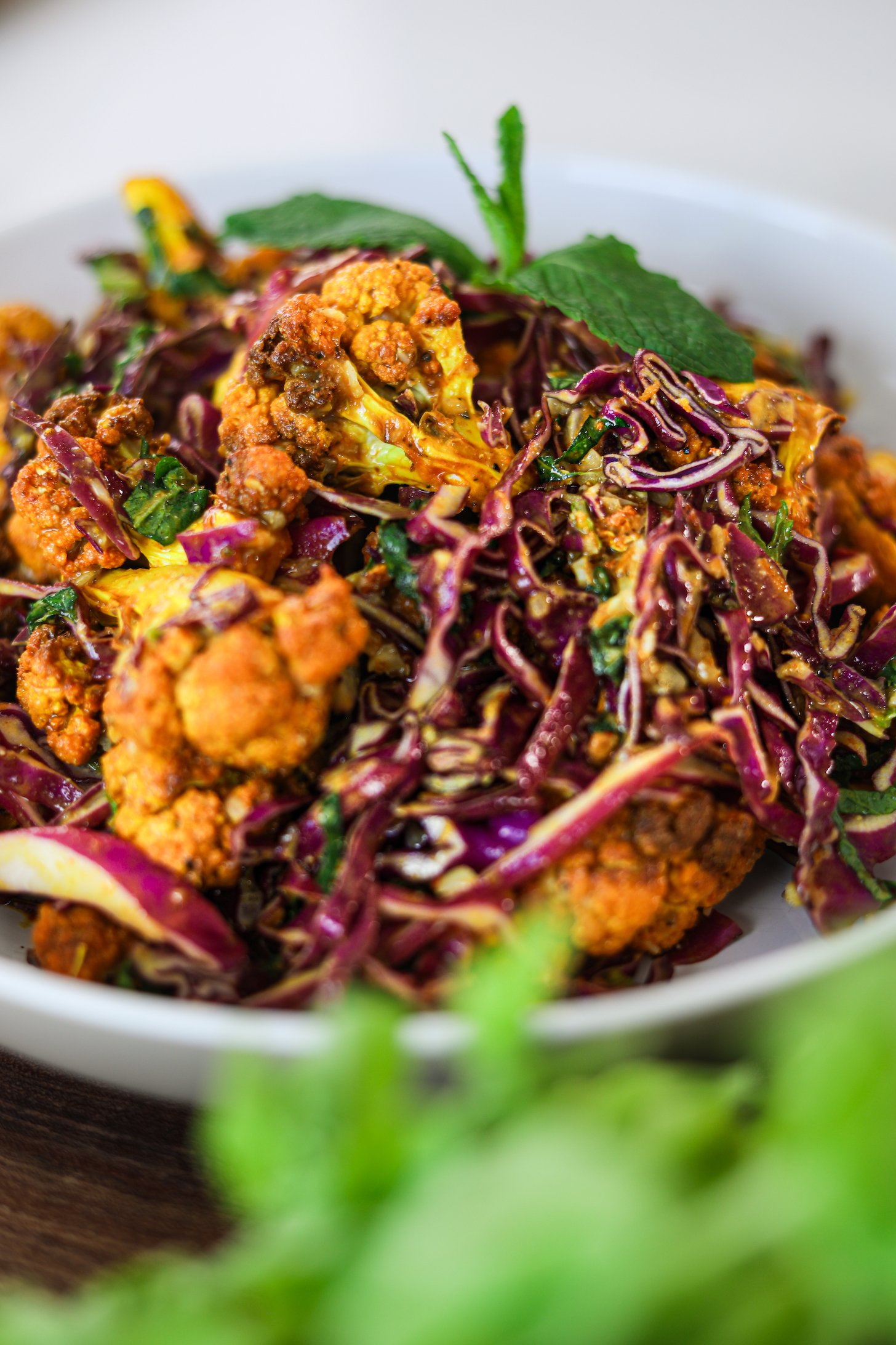 Perspective image of a bowl of spicy cauliflower and shredded red cabbage salad mix topped with a sprig of mint and a green plant in the foreground.