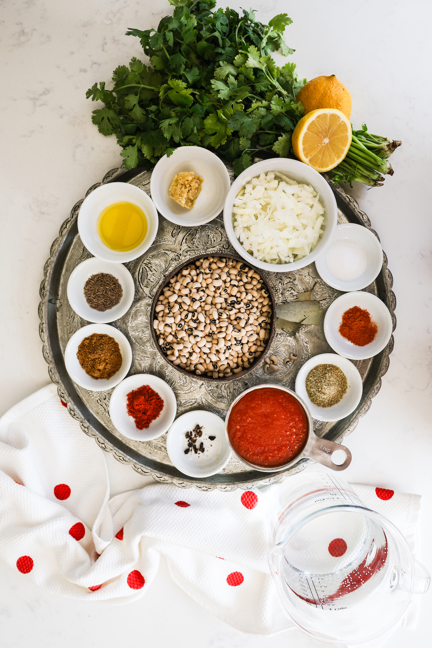 An assortment of food ingredients artfully arranged in a circular pattern on a silver tray.