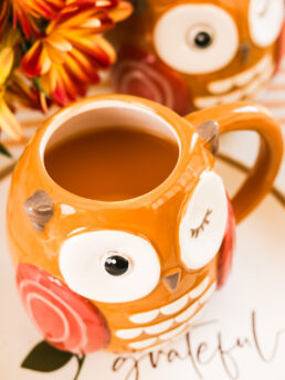 A close up perspective image of two owl mugs filled with chai apple cider with flowers in the background.