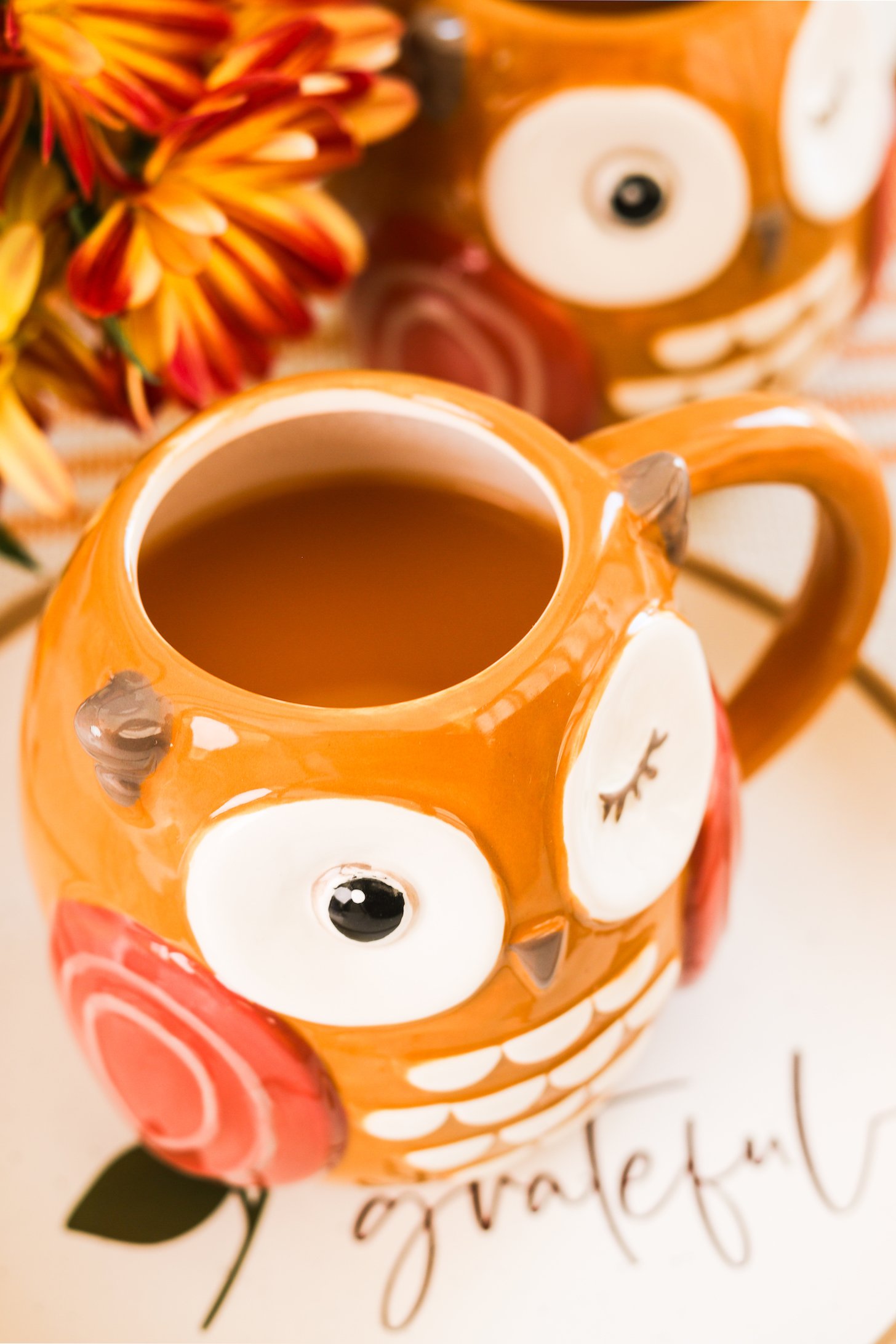 A close up perspective image of two owl mugs filled with chai apple cider with flowers in the background.