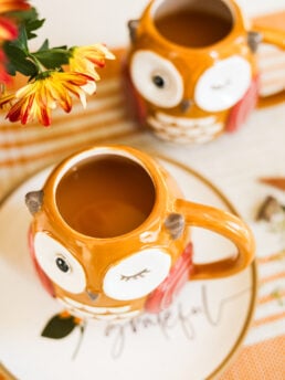 A perspective image of two owl mugs filled with chai apple cider on a striped orange mat.