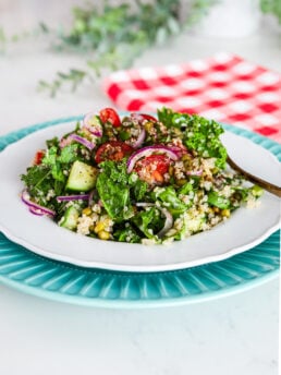 Perspective image showcasing a vibrant salad comprising kale, quinoa, cucumber, tomatoes, and mung beans with a plant in the background.