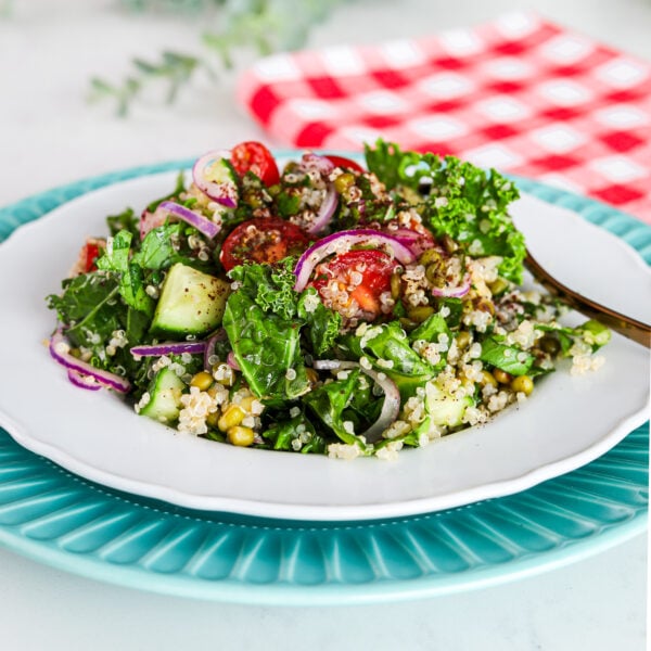 Perspective image showcasing a vibrant salad comprising kale, quinoa, cucumber, tomatoes, and mung beans with a plant in the background.