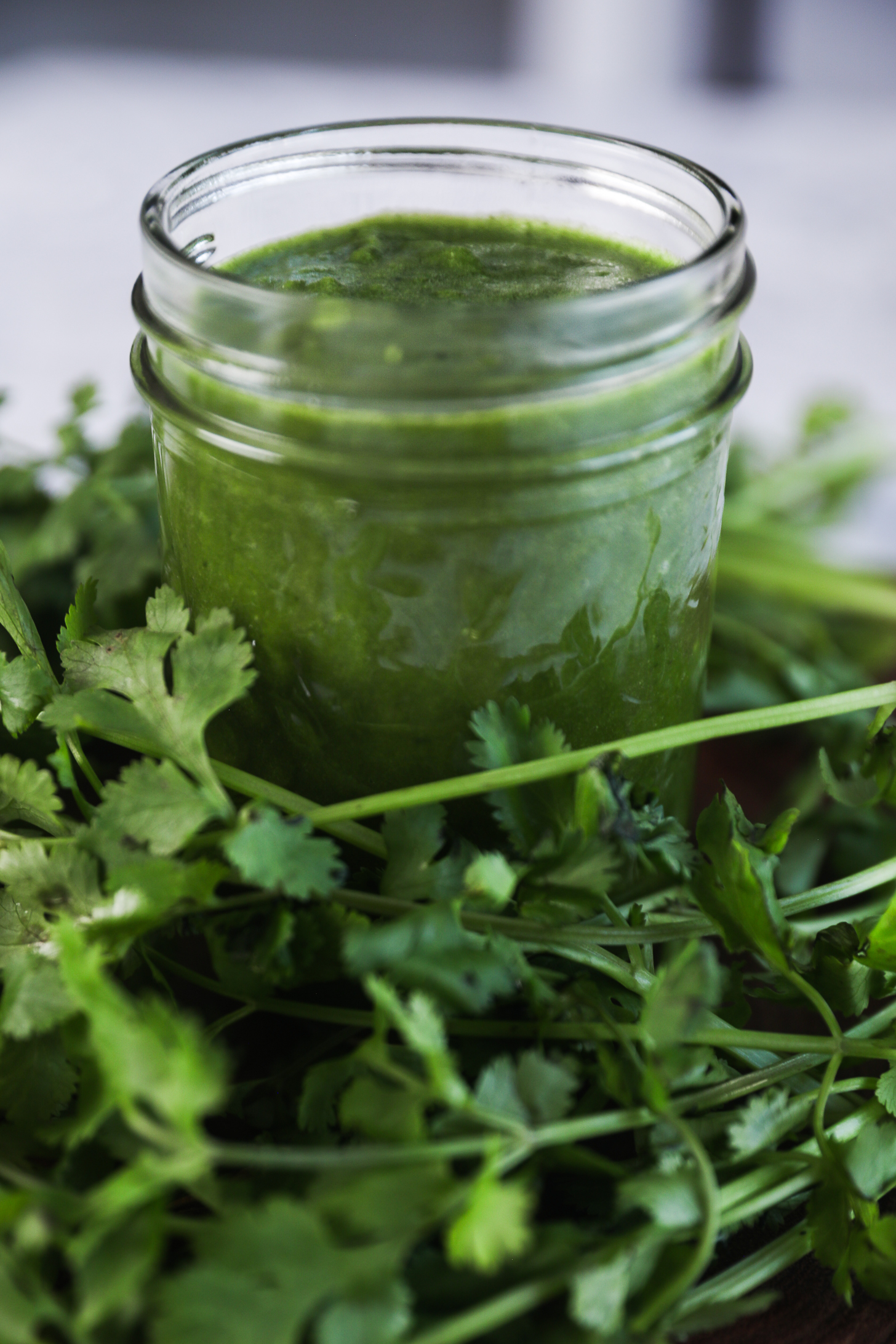 Close up view of a jar of green chutney surrounded by fresh cilantro.